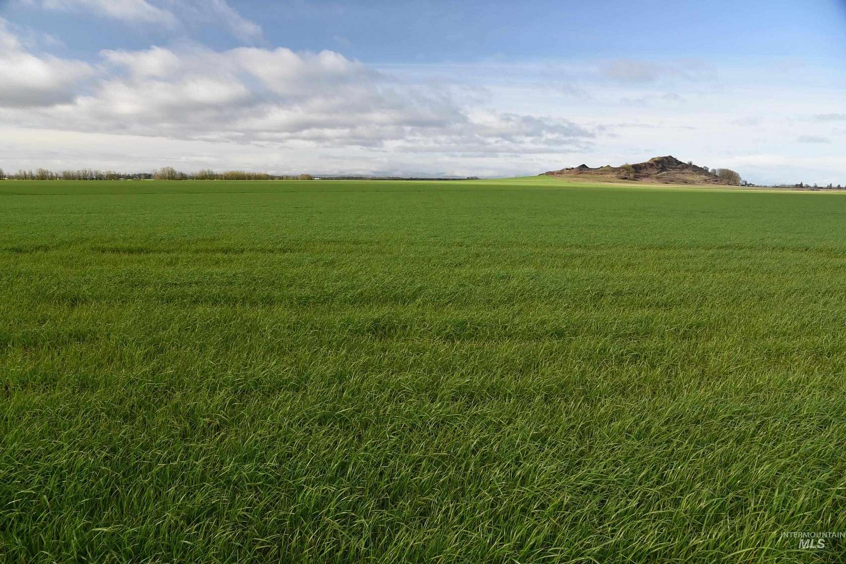 157 Acres of Recreational Land & Farm for Sale in Harrisburg, Oregon