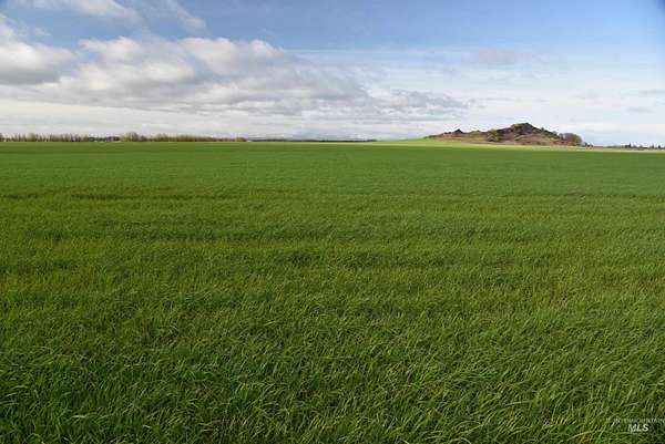 157 Acres of Recreational Land & Farm for Sale in Harrisburg, Oregon