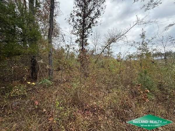 13.8 Acres of Land for Sale in Shongaloo, Louisiana