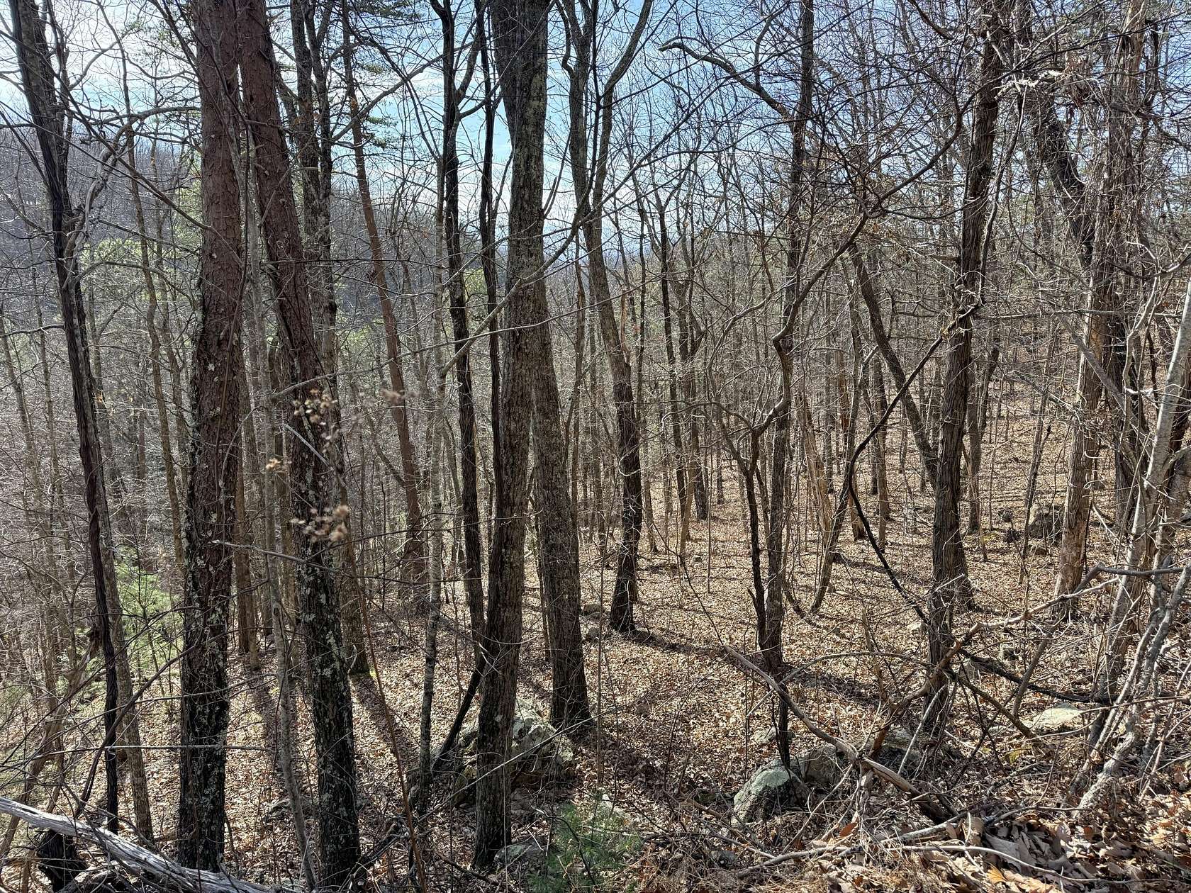 0.56 Acres of Residential Land for Sale in Sevierville, Tennessee
