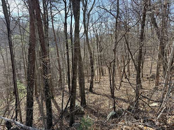 0.56 Acres of Residential Land for Sale in Sevierville, Tennessee