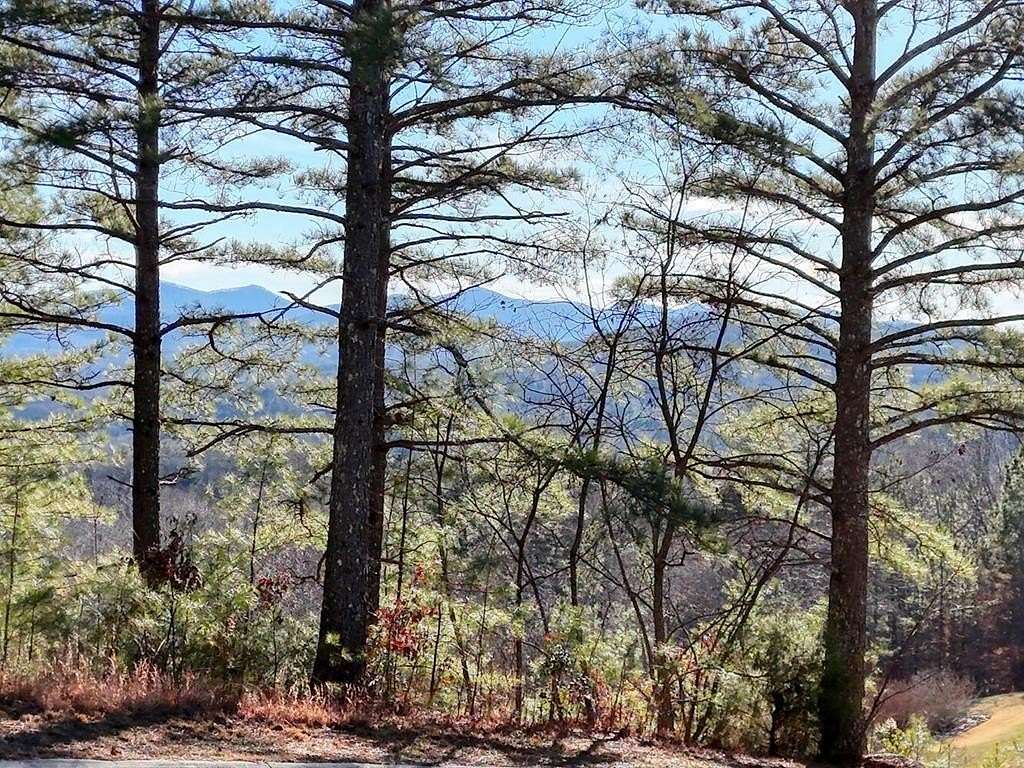 1.2 Acres of Residential Land for Sale in Blairsville, Georgia