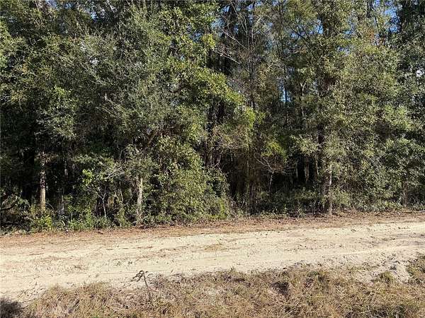 1 Acre of Residential Land for Sale in Archer, Florida