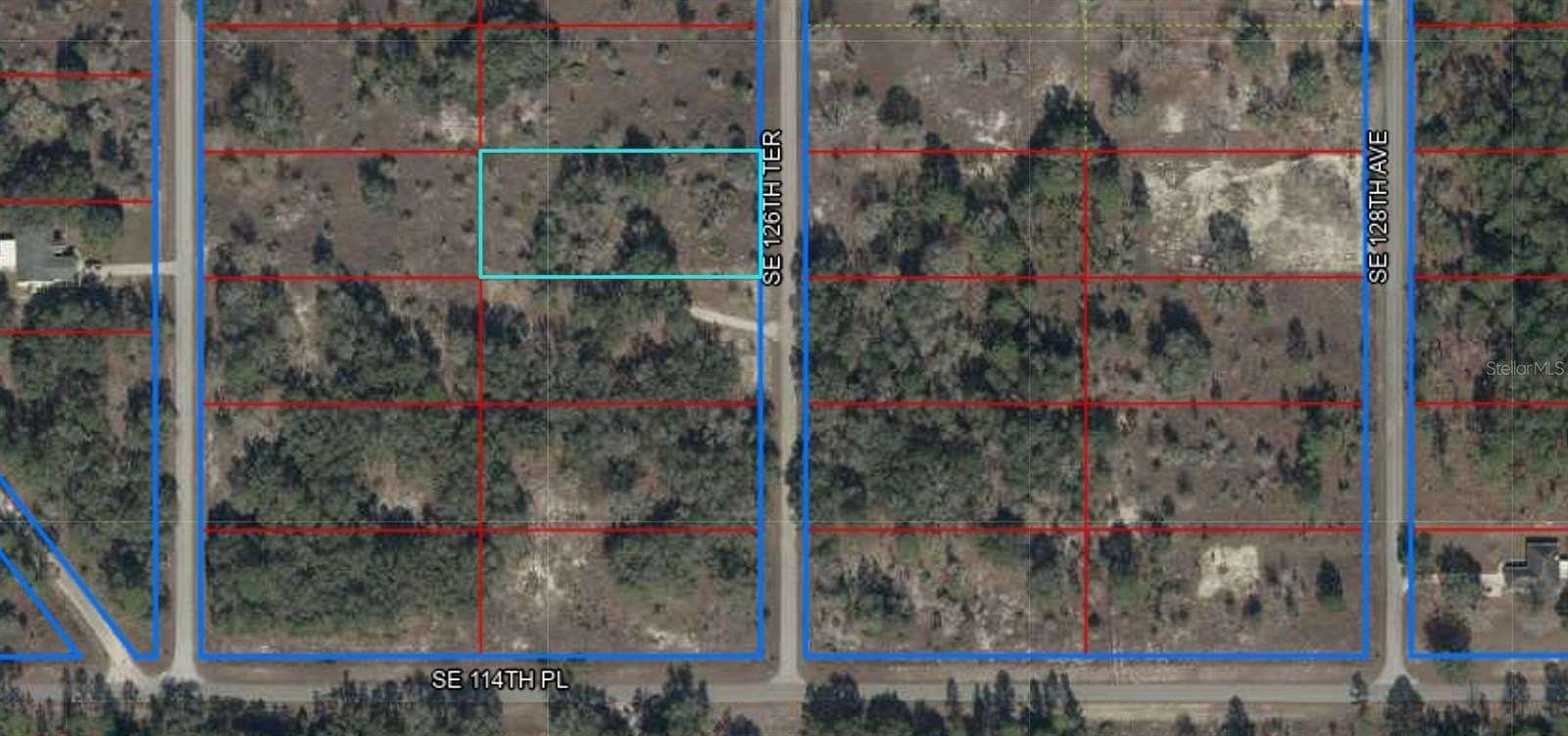 1 Acre of Residential Land for Sale in Dunnellon, Florida