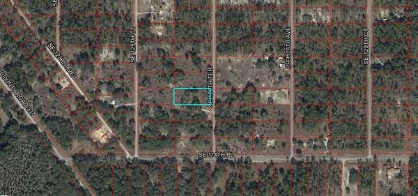 1 Acre of Residential Land for Sale in Dunnellon, Florida