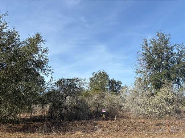1 Acre of Residential Land for Sale in Dunnellon, Florida