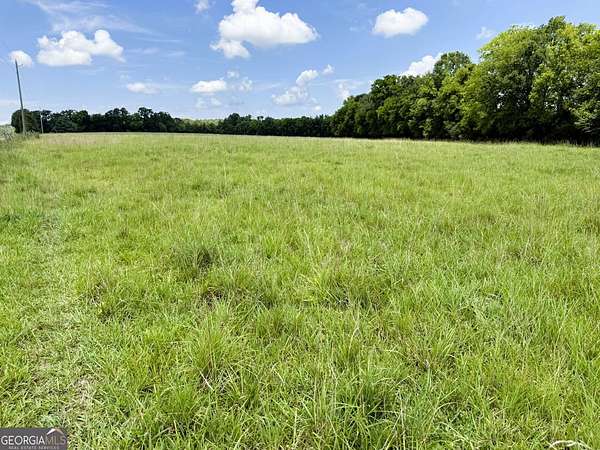 12.9 Acres of Agricultural Land for Sale in Elberton, Georgia