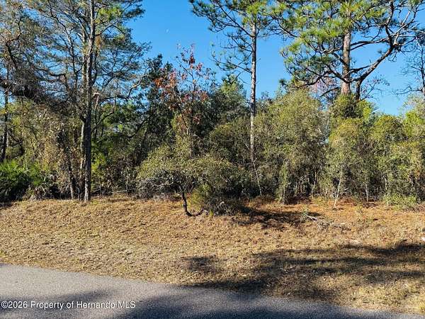 0.5 Acres of Land for Sale in Weeki Wachee, Florida
