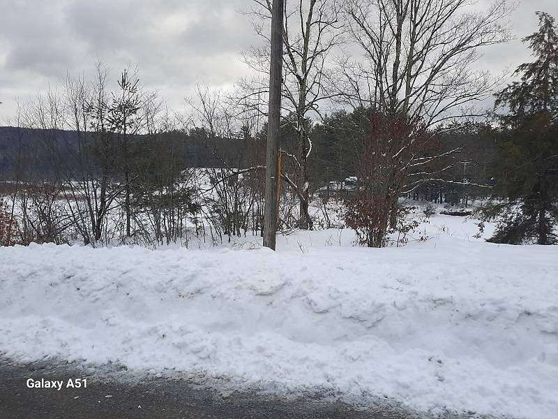 0.05 Acres of Land for Sale in Wells, New York