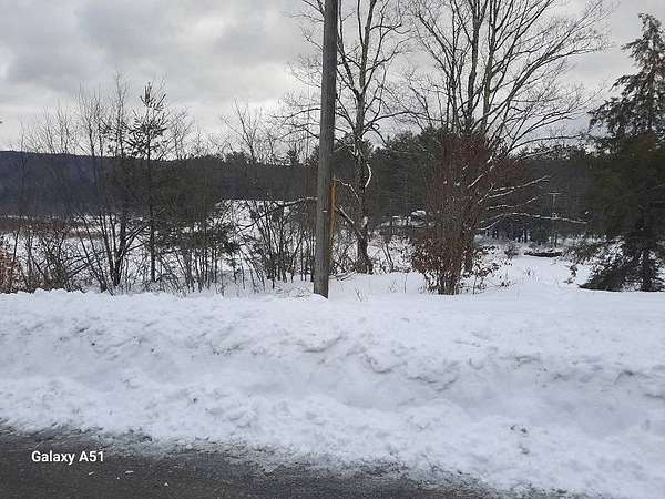 0.05 Acres of Land for Sale in Wells, New York