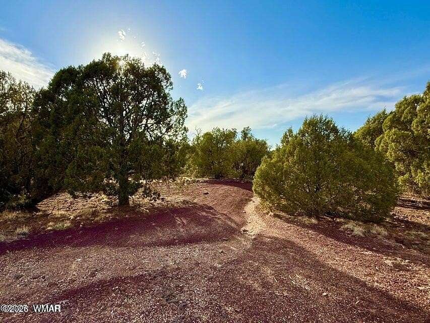 0.27 Acres of Residential Land for Sale in Show Low, Arizona