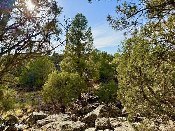 0.27 Acres of Residential Land for Sale in Show Low, Arizona