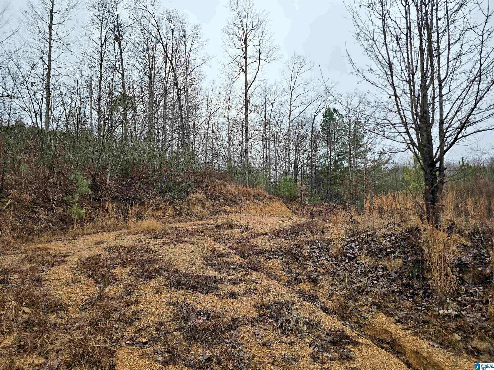 0.73 Acres of Residential Land for Sale in Cullman, Alabama