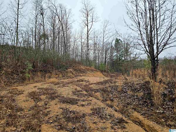 0.73 Acres of Residential Land for Sale in Cullman, Alabama