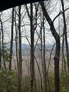 45.6 Acres of Recreational Land for Sale in Young Harris, Georgia