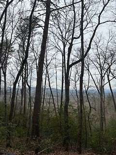 45.6 Acres of Recreational Land for Sale in Young Harris, Georgia