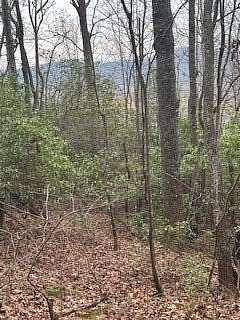 45.6 Acres of Recreational Land for Sale in Young Harris, Georgia