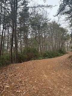 45.6 Acres of Recreational Land for Sale in Young Harris, Georgia