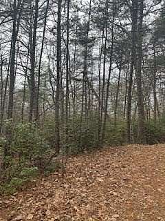 45.6 Acres of Recreational Land for Sale in Young Harris, Georgia