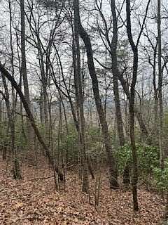 45.6 Acres of Recreational Land for Sale in Young Harris, Georgia