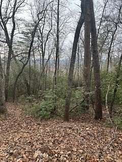 45.6 Acres of Recreational Land for Sale in Young Harris, Georgia