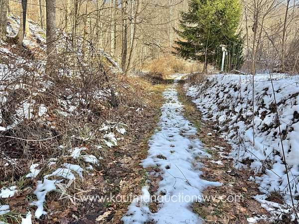 30.3 Acres of Recreational Land for Sale in Summersville, West Virginia