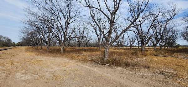 5 Acres of Land for Sale in Quemado, Texas
