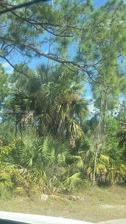 0.25 Acres of Residential Land for Sale in Lehigh Acres, Florida