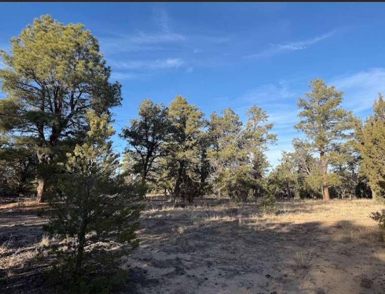 5.17 Acres of Residential Land for Sale in Cubero, New Mexico