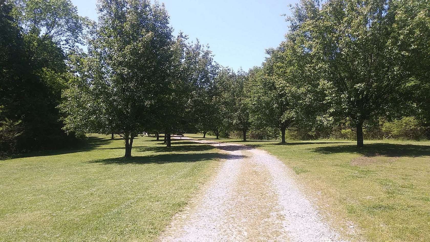 8.3 Acres of Residential Land with Home for Sale in Vanleer, Tennessee