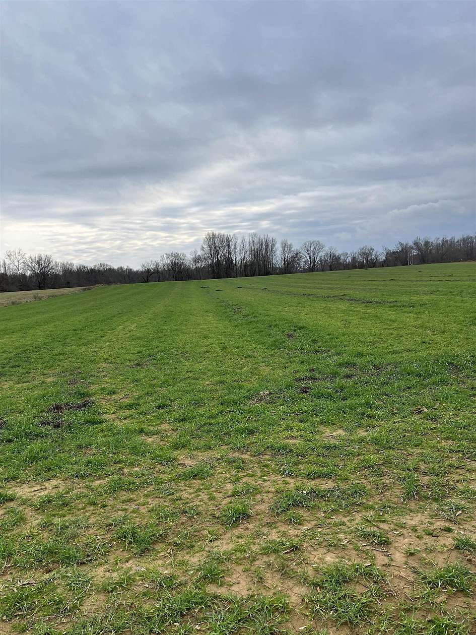 16.1 Acres of Agricultural Land for Sale in Stanton, Tennessee