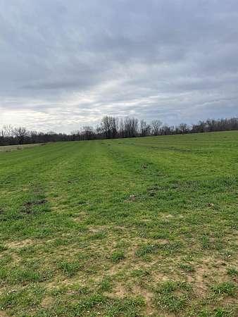 16.1 Acres of Agricultural Land for Sale in Stanton, Tennessee