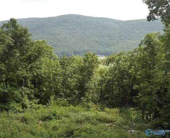 6 Acres of Residential Land for Sale in Owens Cross Roads, Alabama