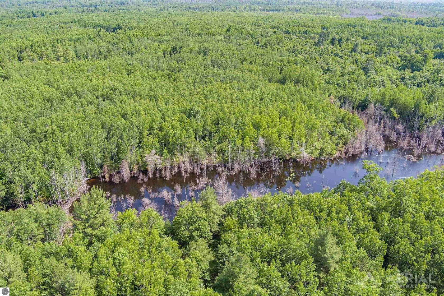 687 Acres of Recreational Land for Sale in Rogers City, Michigan