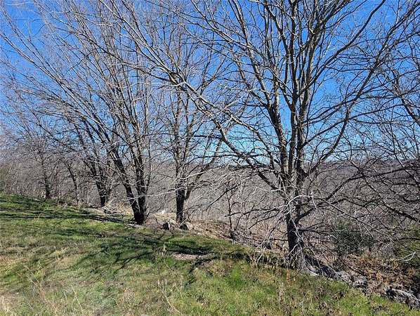 0.43 Acres of Residential Land for Sale in Fort Worth, Texas