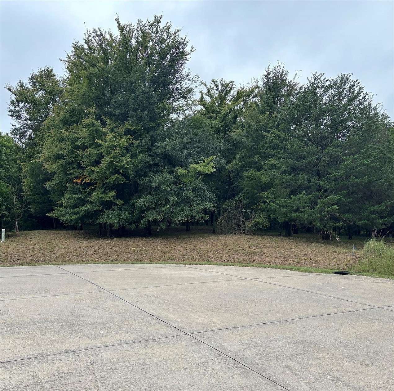 3 Acres of Residential Land for Sale in Wills Point, Texas