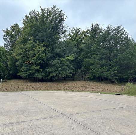3 Acres of Residential Land for Sale in Wills Point, Texas