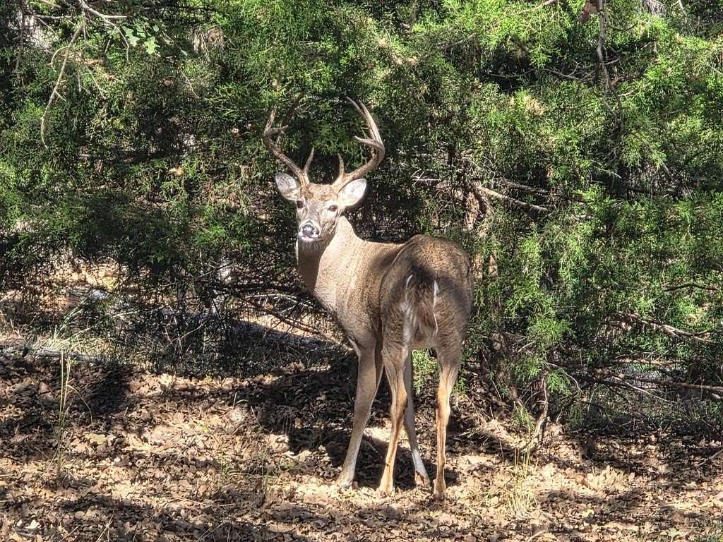 2.88 Acres of Residential Land for Sale in Weatherford, Texas