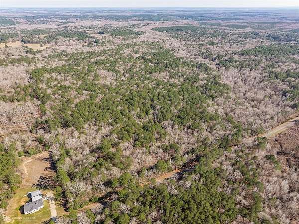 80.3 Acres of Recreational Land for Sale in Minden, Louisiana