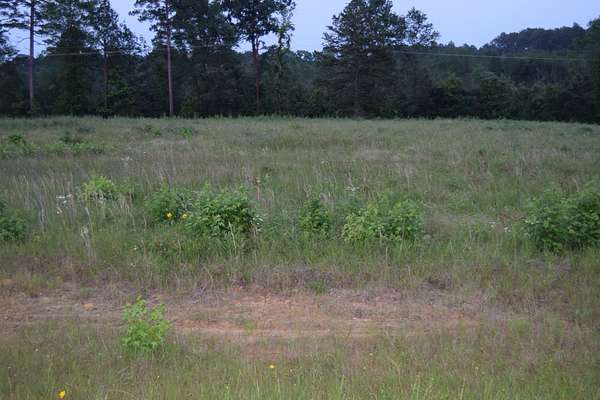 1.23 Acres of Commercial Land for Sale in Minden, Louisiana