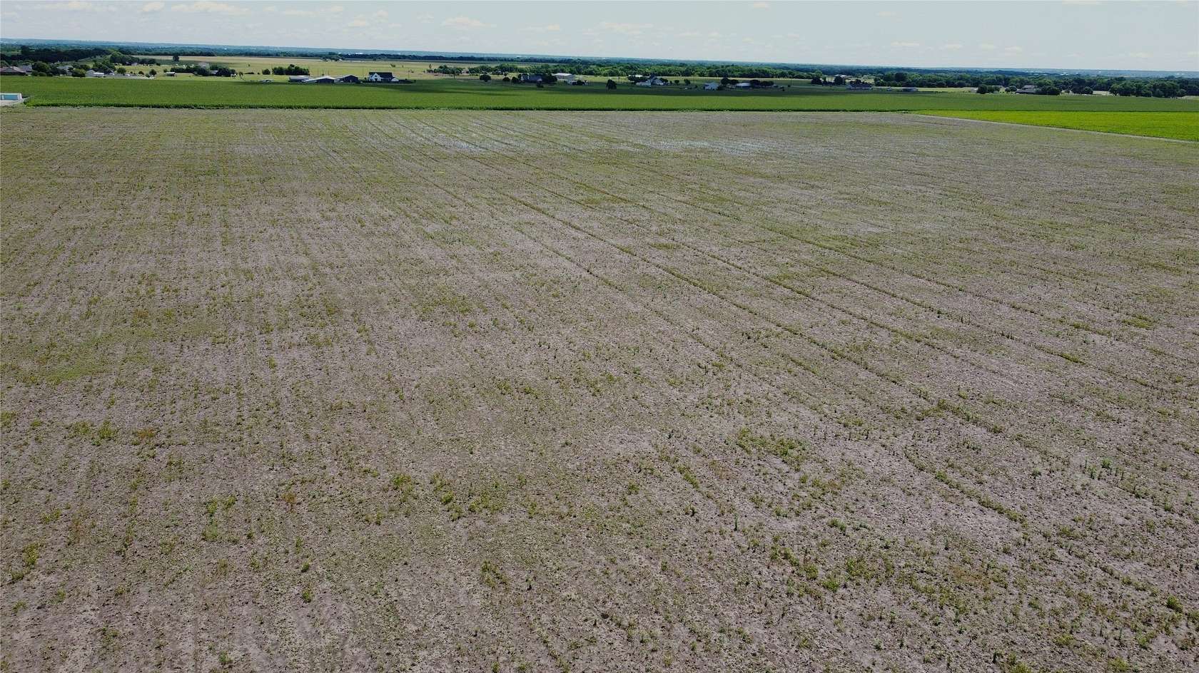 5 Acres of Land for Sale in Grandview, Texas