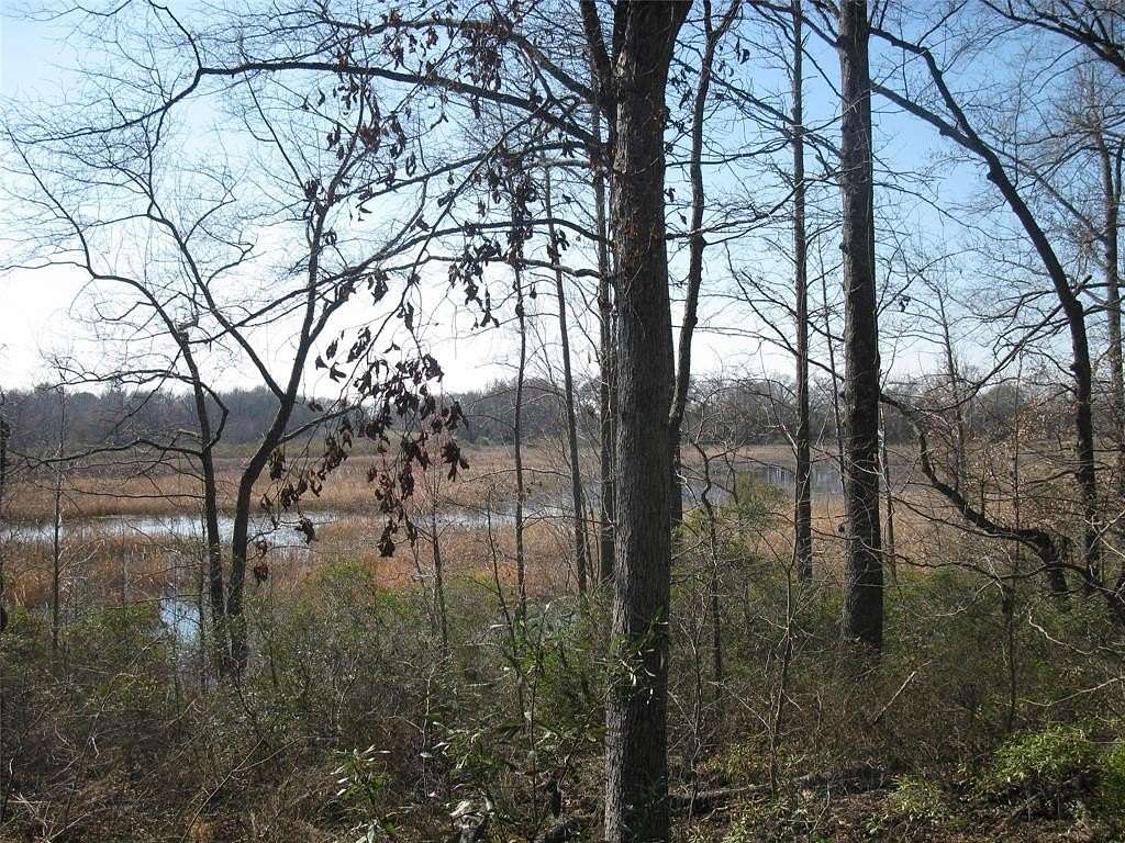 133 Acres of Recreational Land for Sale in Ben Wheeler, Texas