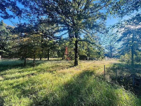0.46 Acres of Residential Land for Sale in Tool, Texas