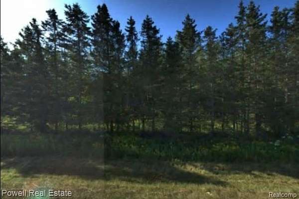 109 Acres of Land for Sale in Pickford, Michigan