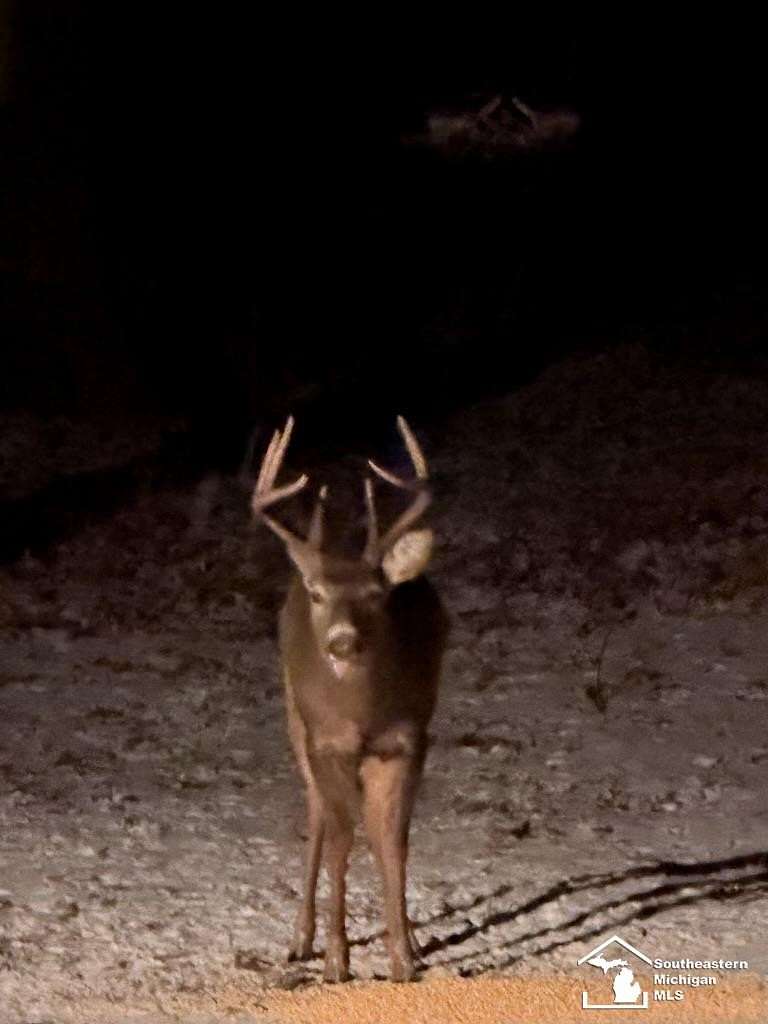 36 Acres of Land for Sale in Monroe, Michigan