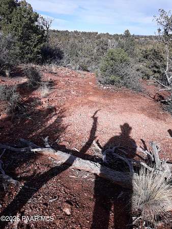 40 Acres of Land for Sale in Ash Fork, Arizona