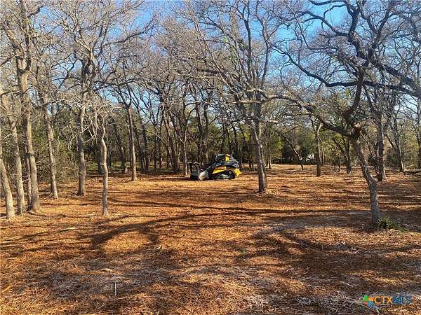 1.23 Acres of Improved Residential Land for Sale in Gatesville, Texas