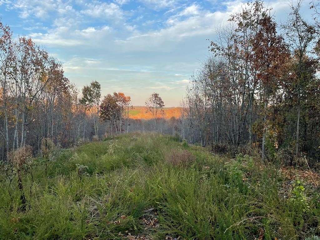 18.7 Acres of Land for Sale in Stewart, Tennessee