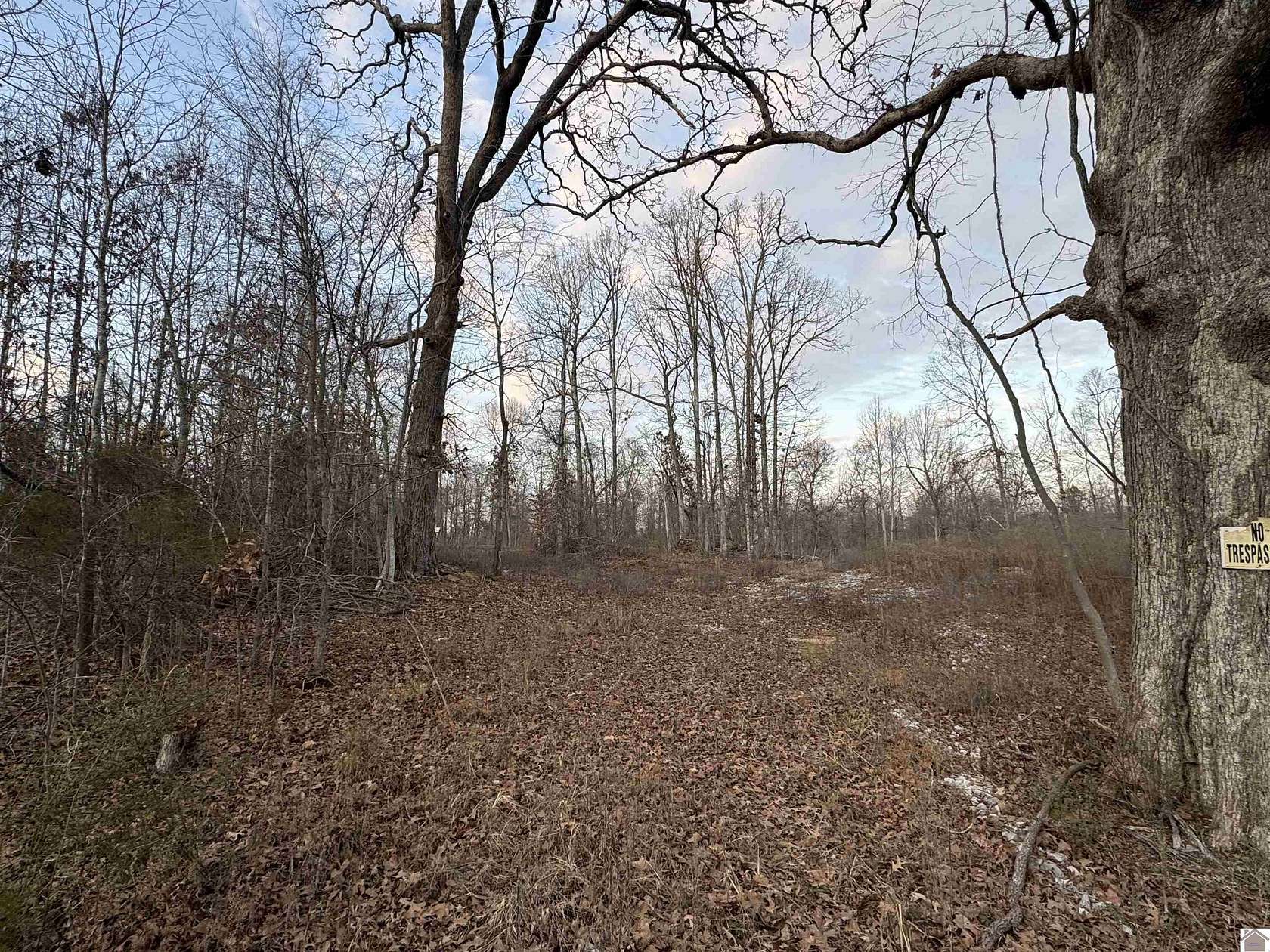29.2 Acres of Recreational Land for Sale in Gilbertsville, Kentucky