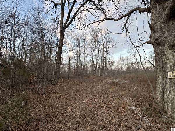 29.2 Acres of Recreational Land for Sale in Gilbertsville, Kentucky